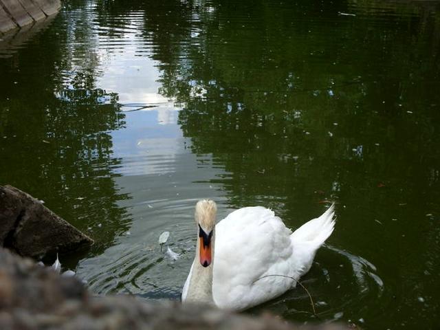 Pescuit :) - gradina-zoologica-calarasi-1.jpg